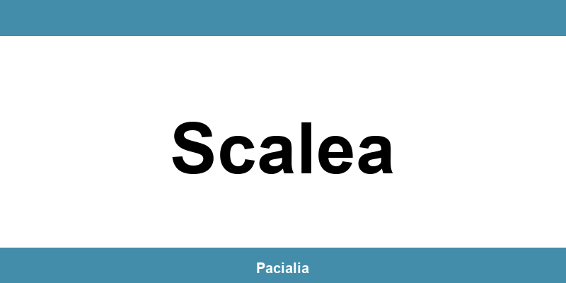 Contatti e telefono dell’ufficio del Giudice di Pace a Scalea