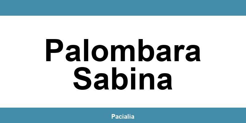 Contatti e telefono dell’ufficio del Giudice di Pace a Palombara Sabina